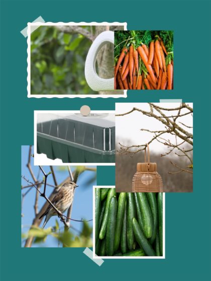 Tuin & Natuur