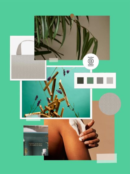 Wellness
