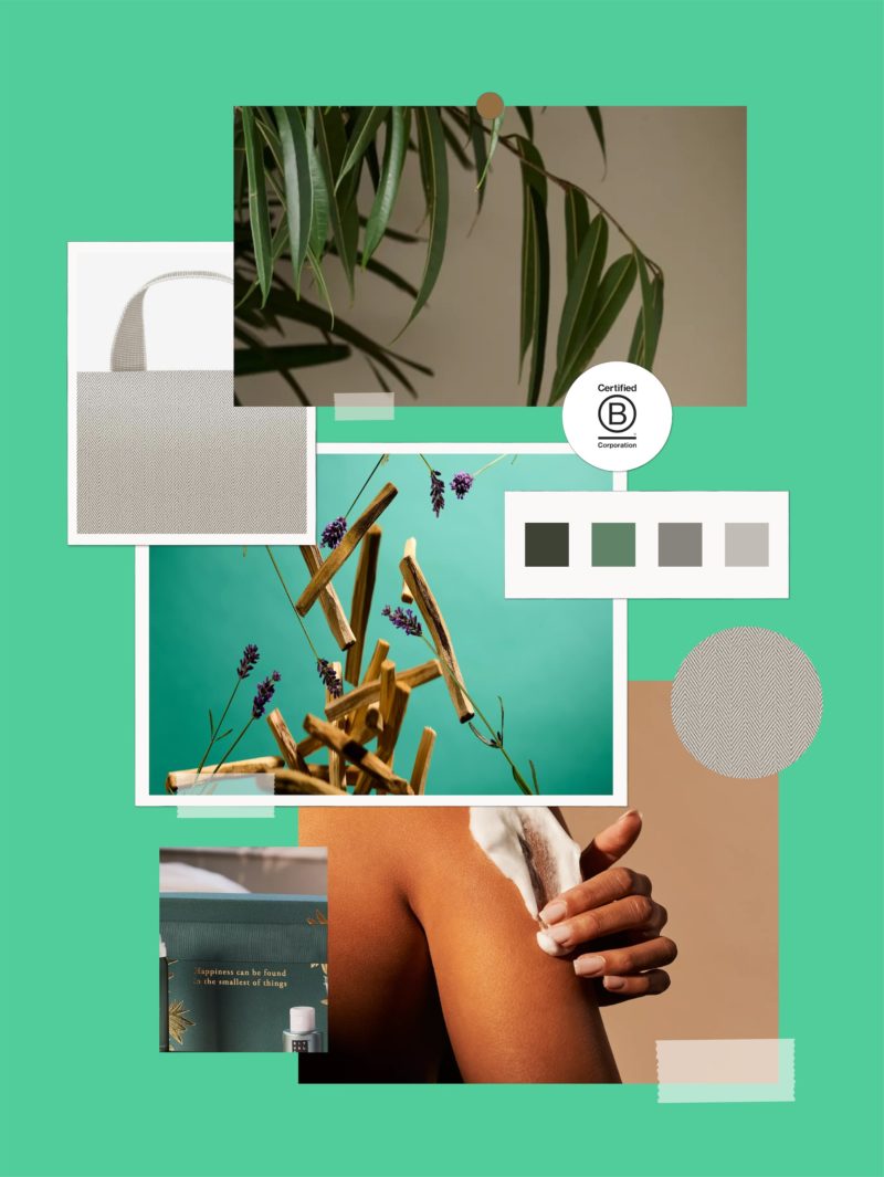 Wellness