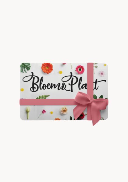 Bloem & Plant